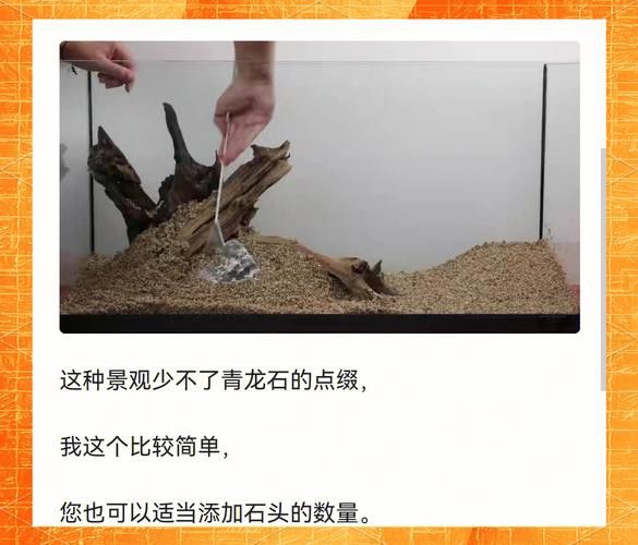 大型龍魚缸造景效果圖片大全