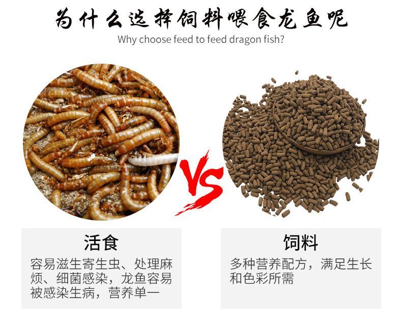 龍魚吃飼料好還是吃活食好呢：龍魚吃飼料好還是吃活食好