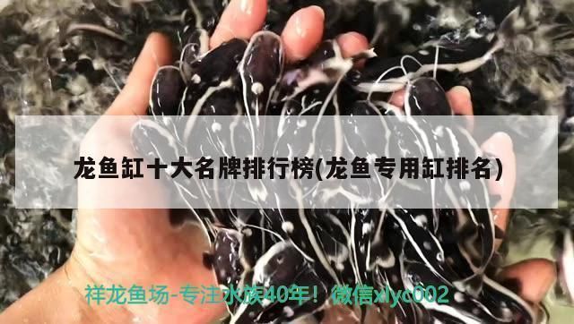 龍魚魚缸品牌十大排名榜圖片：龍魚魚缸十大品牌排名
