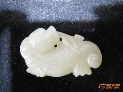 白玉龍魚和紅龍如何分辨：白玉龍魚和紅龍在顏色、形態、品種特點以及市場價值等方面都有所區別