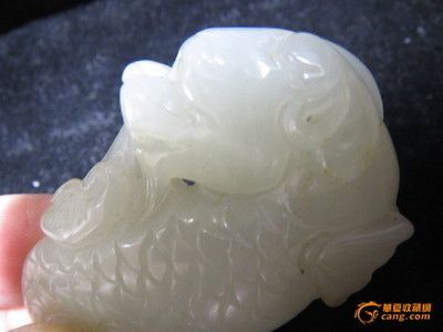 白玉龍魚和紅龍如何分辨：白玉龍魚和紅龍在顏色、形態、品種特點以及市場價值等方面都有所區別