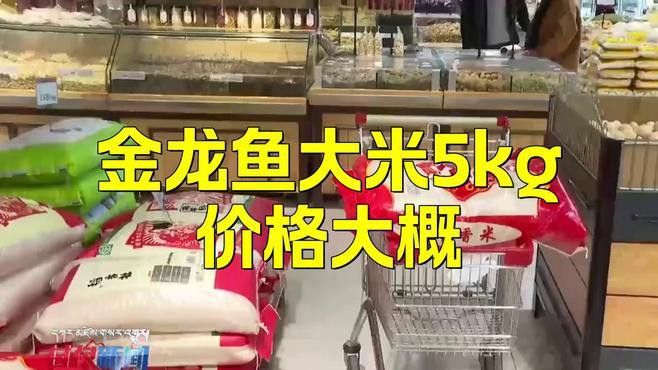 金龍魚軟香稻5kg多少錢