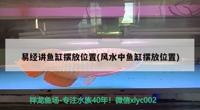 龍魚死了有什么忌諱：龍魚死了有什么預(yù)兆是替人擋災(zāi)嗎