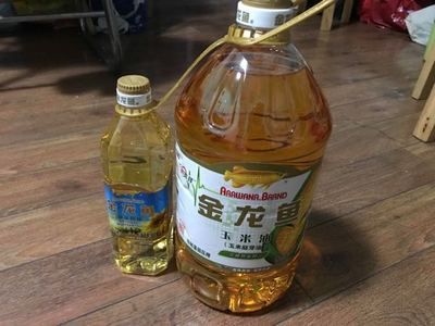 金龍魚一壺多少升：金龍魚一壺多少升金龍魚一壺多少升