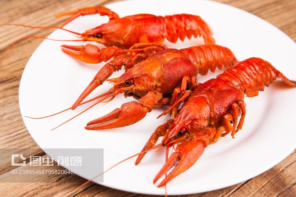 龍魚能吃龍蝦嗎：龍魚可以吃龍蝦但需要注意一些細節以確保龍魚的健康