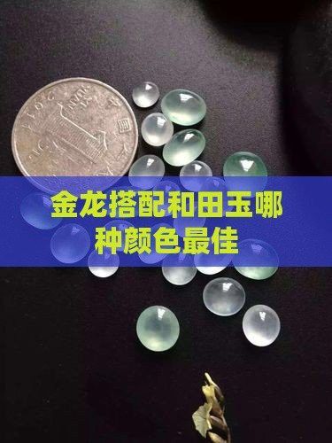 金龍魚與哪些寶石搭配最佳？