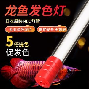 龍魚專用燈價格多少錢一個啊（龍魚專用燈價格）