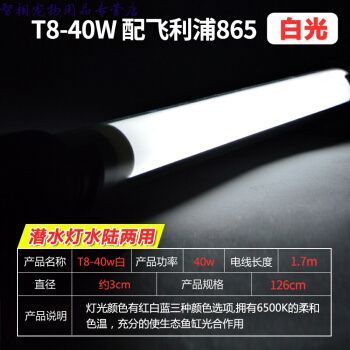 龍魚專用燈價格多少錢一個啊（龍魚專用燈價格）