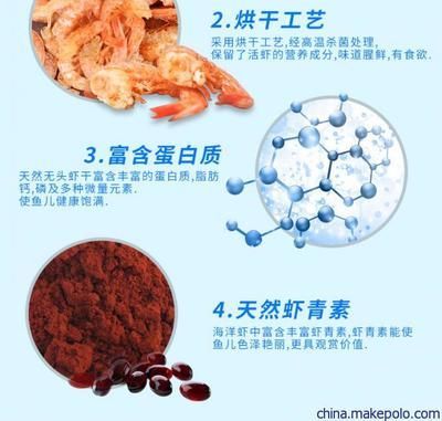 龍魚飼料蛋白質含量標準：龍魚飼料中的蛋白質含量應該在40-50%左右