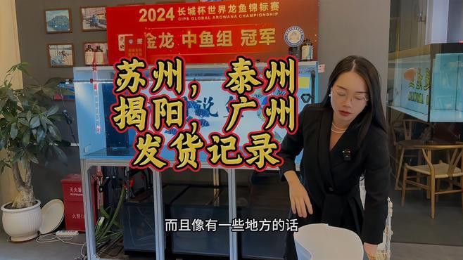 金龍魚打包視頻