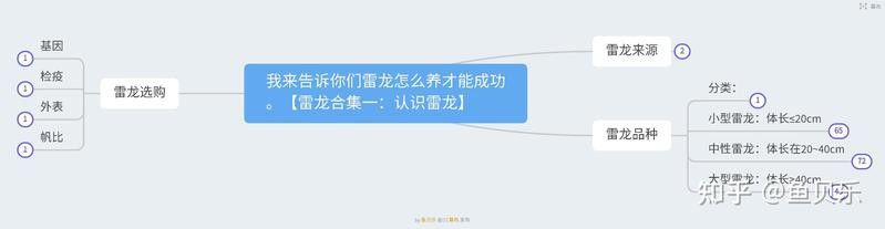 大型雷龍魚哪個好看