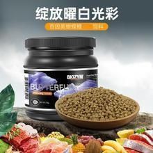 哪里可以買到正宗臺(tái)灣蝴蝶鯉 哪里可以買到正宗臺(tái)灣蝴蝶鯉 龍魚百科 第7張