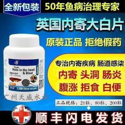 龍魚腸炎可以用大白片治療嗎視頻：關于龍魚腸炎的問題
