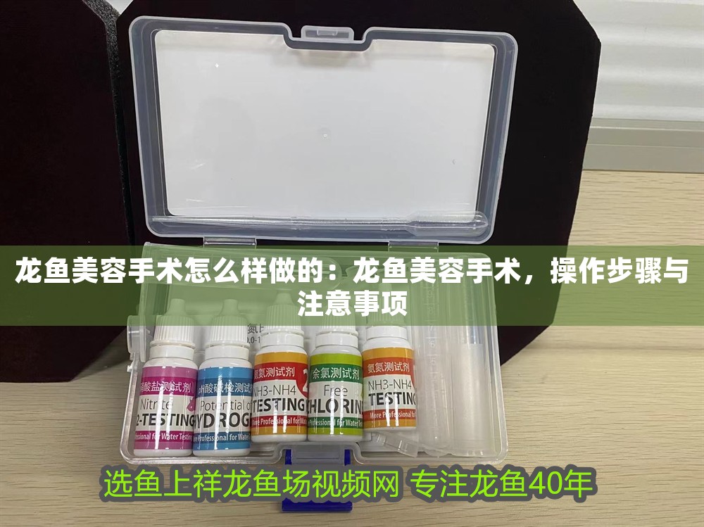 龍魚美容手術(shù)怎么樣做的：龍魚美容手術(shù)，操作步驟與注意事項