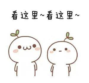 如何降低血紅龍的死亡率？