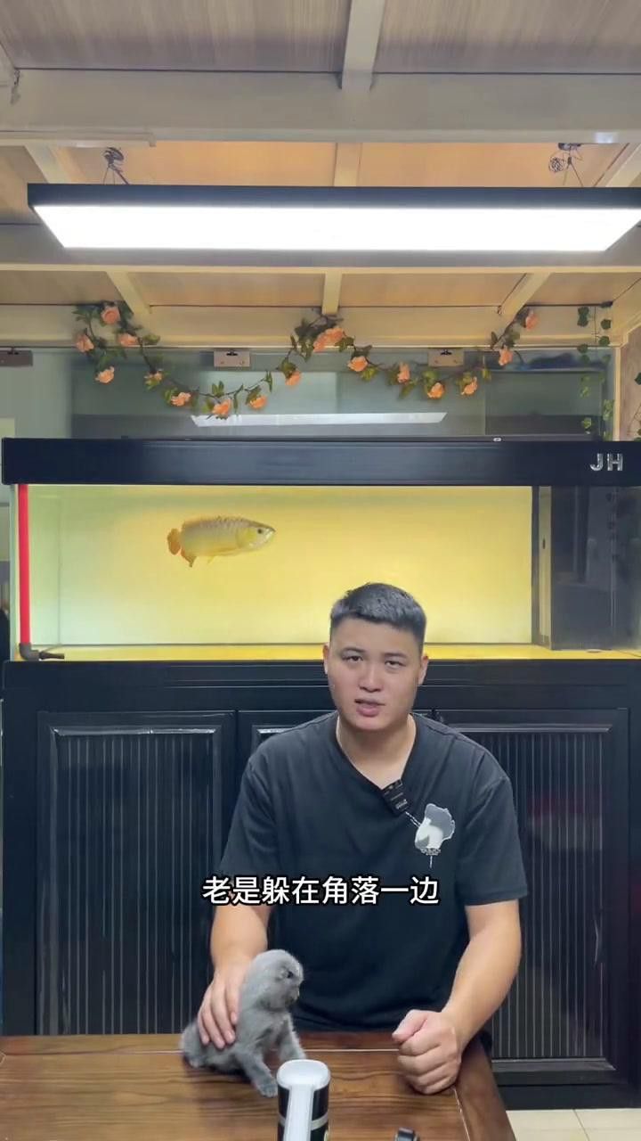 龍魚腸炎如何治療？
