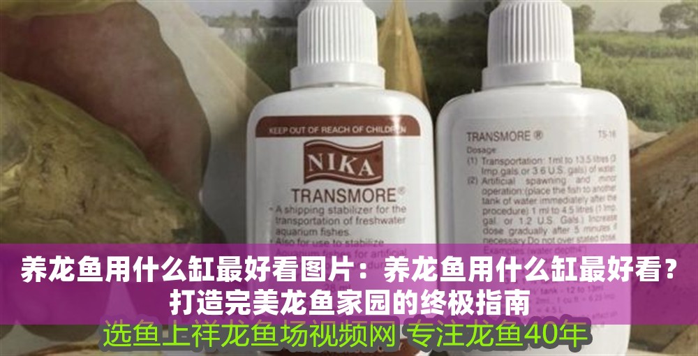 養(yǎng)龍魚用什么缸最好看圖片：養(yǎng)龍魚用什么缸最好看？打造完美龍魚家園的終極指南