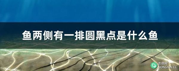 銀龍魚腹部出現紅色斑點（銀龍魚腹部出現紅色斑點可能由多種因素引起）