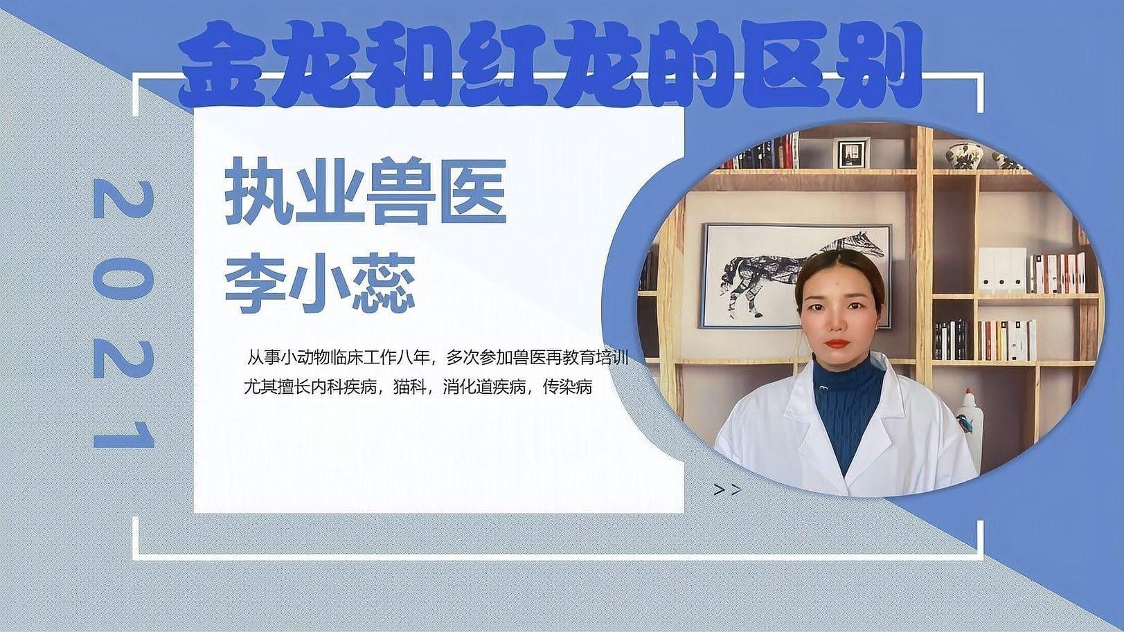 金龍魚紅龍魚的區別是什么