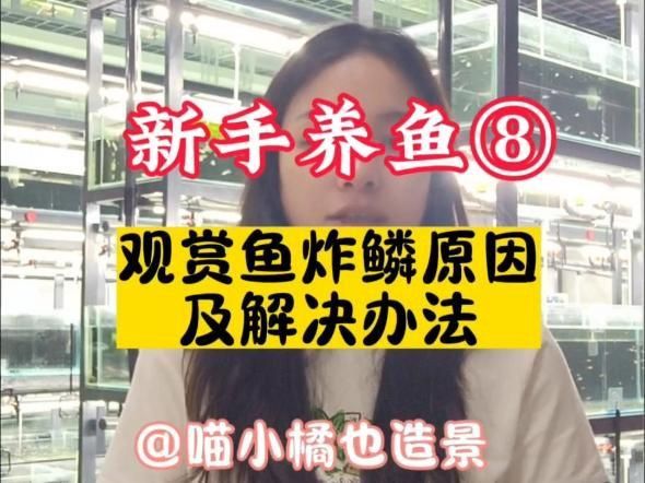 如何區分不同類型的炸鱗？