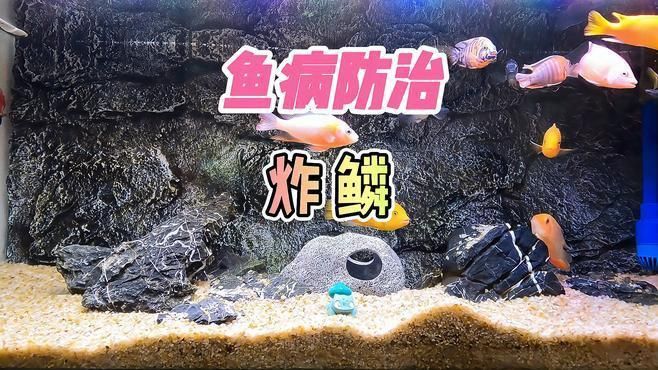 如何區分不同類型的炸鱗？