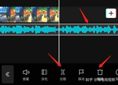 淡化海龜和龍魚混養：淡化海龜和龍魚混養可行嗎？