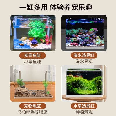 紅龍魚吃海蝦可以嗎怎么喂（紅龍魚吃海蝦可以嗎怎么喂養(yǎng)）