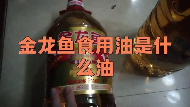 金龍魚玉米油哪個系列適合煎炸？