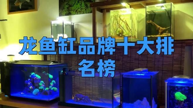 推薦幾款適合金頭龍魚的魚缸品牌