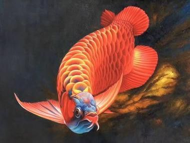 有沒有紅龍魚手繪壁紙的教程？