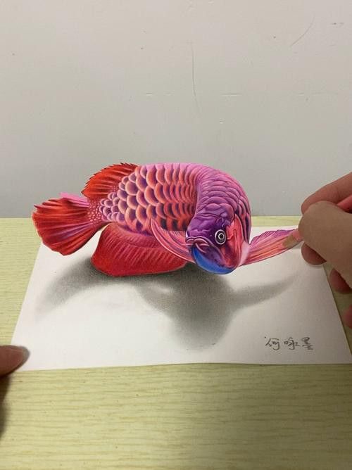 有沒有紅龍魚手繪壁紙的教程？