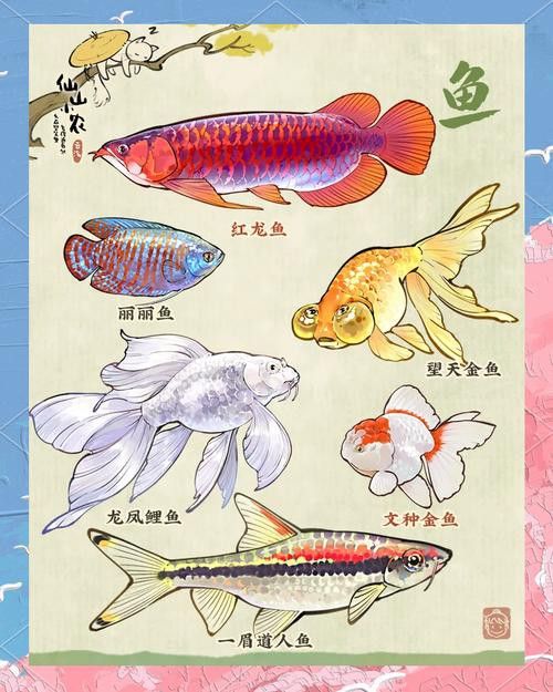有沒有紅龍魚手繪壁紙的教程？