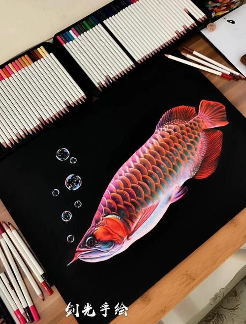 有沒有紅龍魚手繪壁紙的教程？