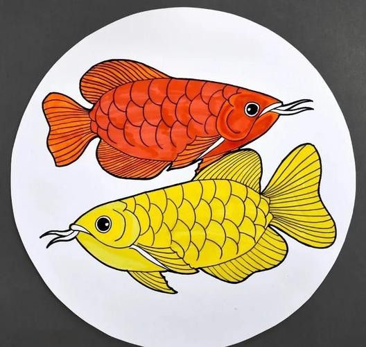 有沒有紅龍魚手繪壁紙的教程？