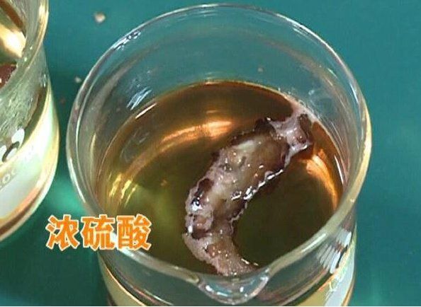 螞蟥vs硫酸