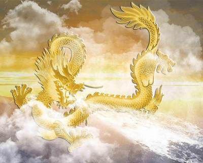 屬龍的人適合養(yǎng)什么魚(yú)？：屬龍的人養(yǎng)魚(yú)可以旺財(cái)嗎？