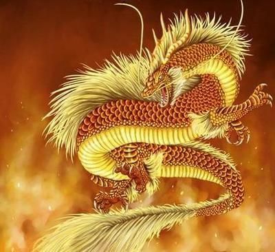 屬龍的人適合養(yǎng)什么魚(yú)？：屬龍的人養(yǎng)魚(yú)可以旺財(cái)嗎？