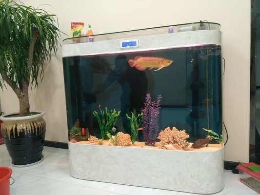 金龍魚魚苗好養嗎，金龍魚魚苗水溫調控技巧金龍魚魚苗水溫調控技巧