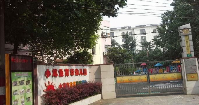 上海小龍魚幼兒園怎么樣報名