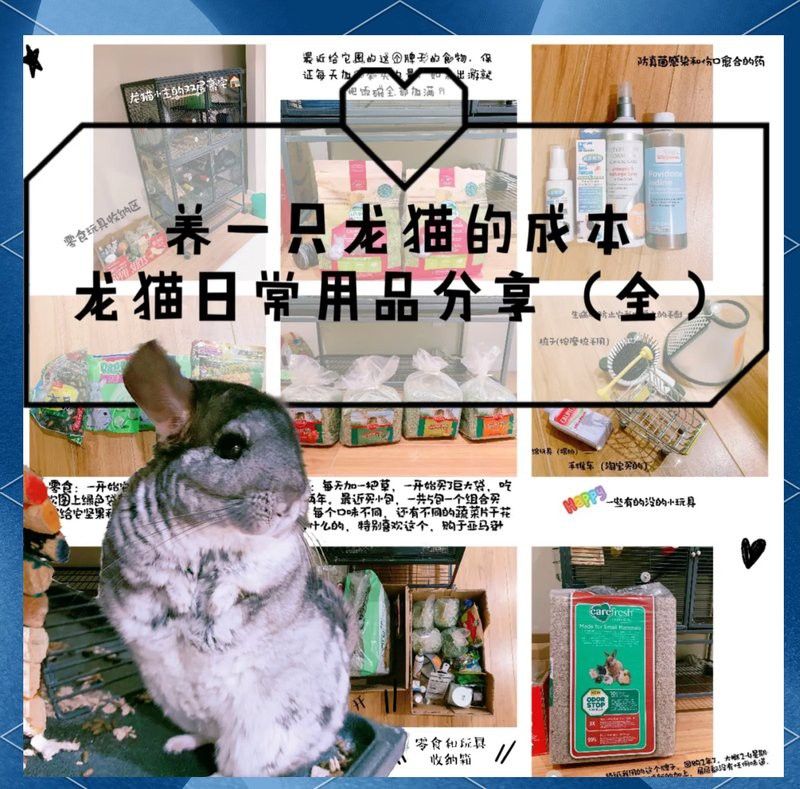 龍貓雙養(yǎng)需要準(zhǔn)備哪些設(shè)施？