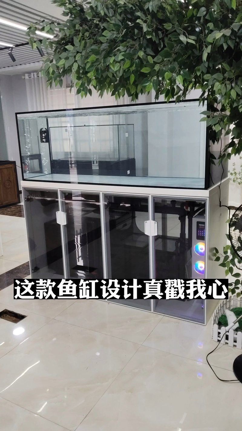 吉羅缸和龍魚缸哪個更美觀