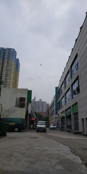 西安魚(yú)缸定做祥龍魚(yú)場(chǎng)代理店電話(huà)地址 西安魚(yú)缸定做祥龍魚(yú)場(chǎng)代理店電話(huà)地址 龍魚(yú)百科 第1張