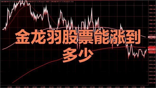金龍羽5年后能漲到200元嗎
