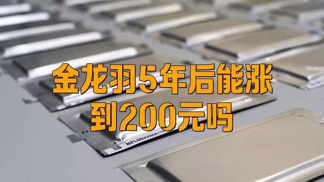 金龍羽5年后能漲到200元嗎