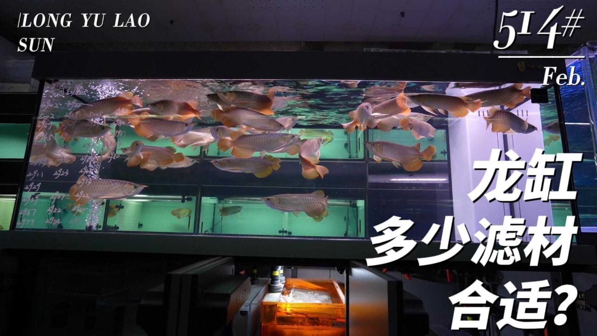 龍魚缸過濾系統哪些好