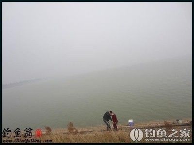 頂級龍魚有什么特點（亞洲頂級龍魚圖文鑒賞(龍魚的特點）
