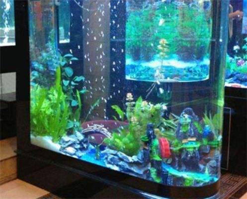龍魚缸水泵要一直開著嗎：魚缸水泵是否需要一直開著