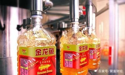 金龍魚經銷商需要什么條件（如何成為金龍魚經銷商）