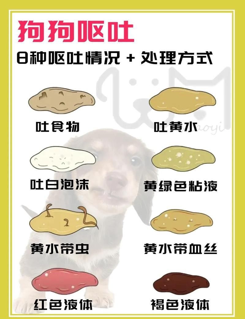 六角恐龍魚吐了啥原因