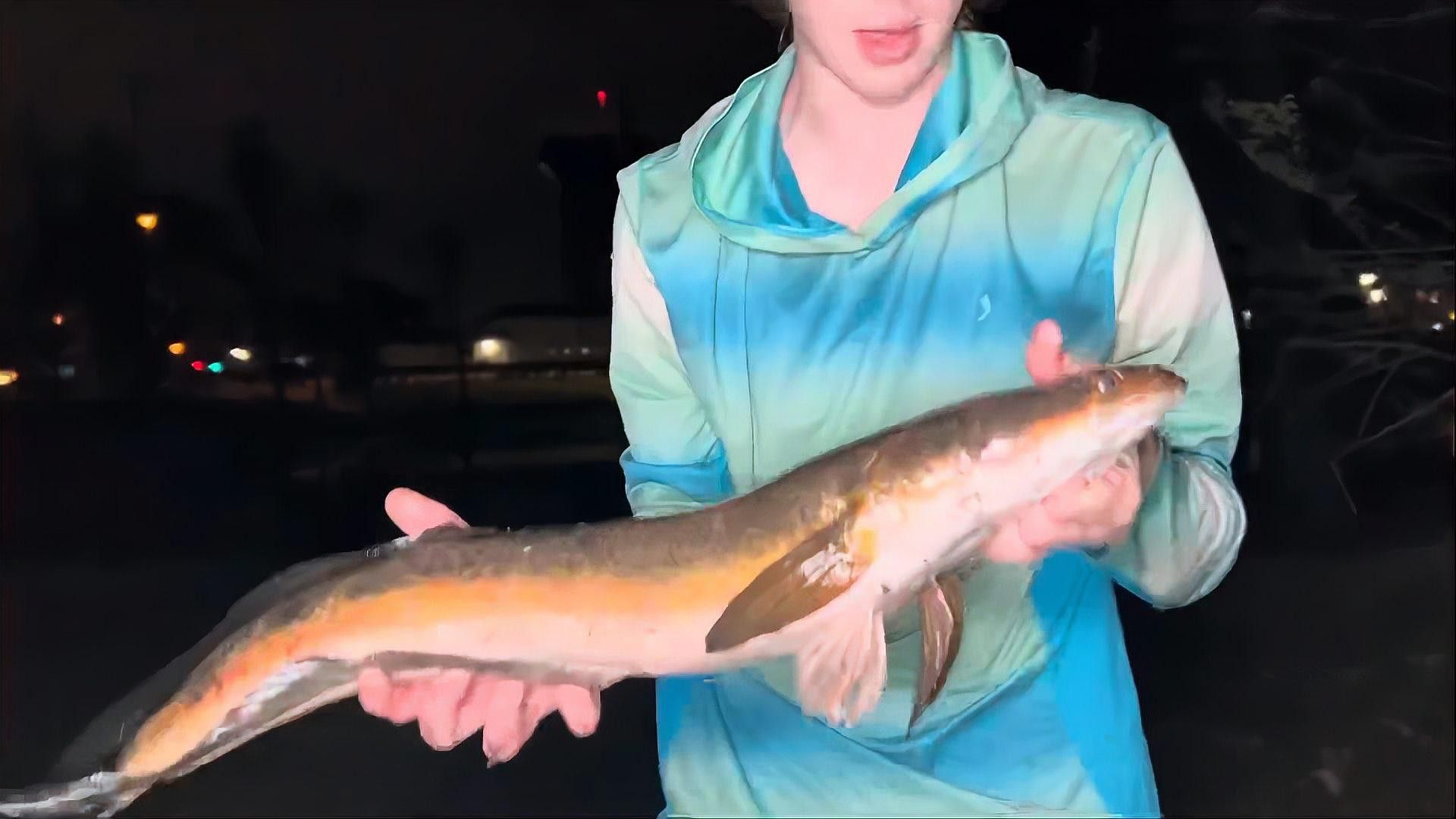 如何預防雷龍魚再次得腸炎？